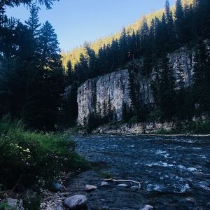 Meet your Posher, Alice